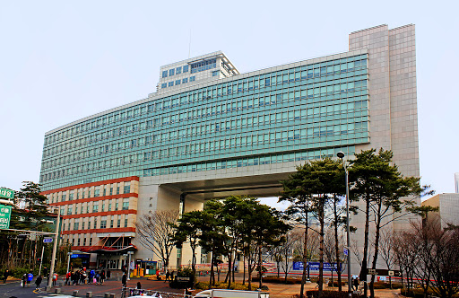 Университет Хоник (Hongik University)